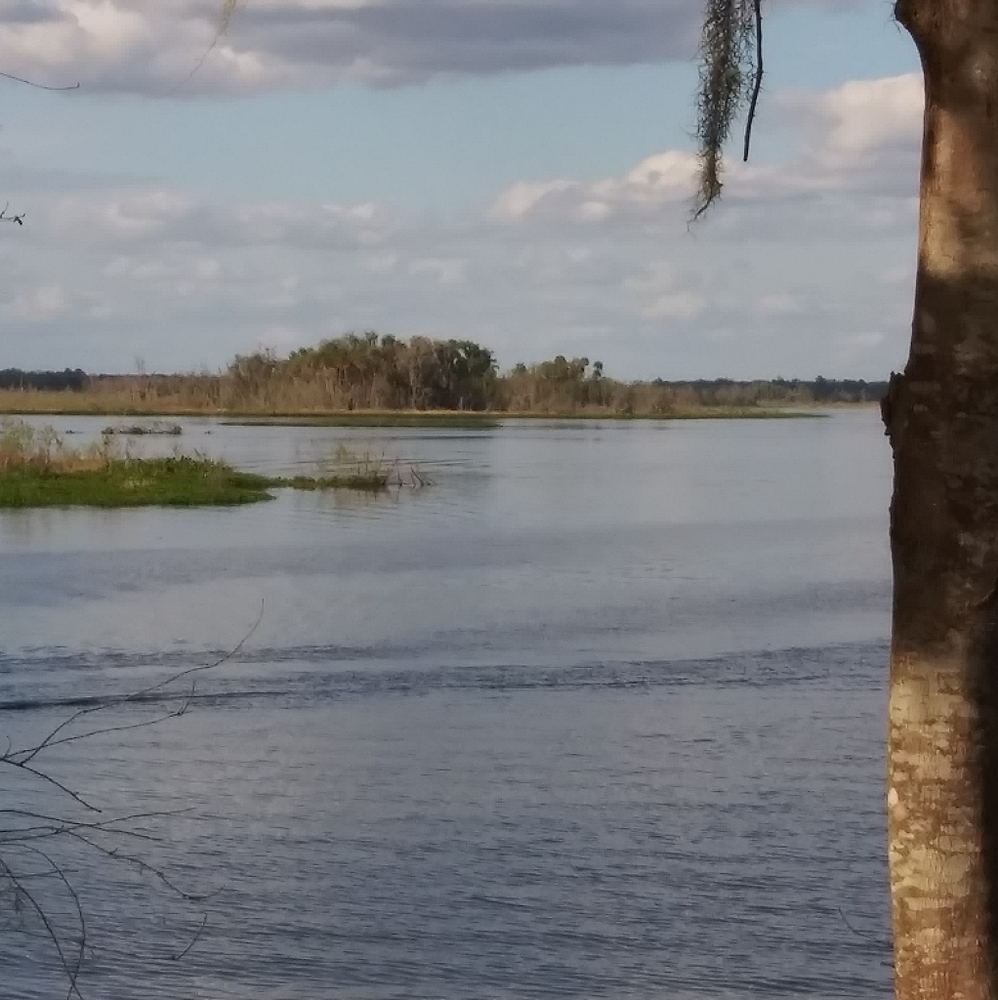 Meet your Posher, Terri